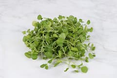 Watercress: ভাল রাখে হার্ট, বাড়ায় রোগ প্রতিরোধ ক্ষমতা, নিয়মিত খান ওয়াটারক্রেস