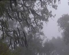 Kolkata Weather Update : জানুয়ারির শেষে কি ফের কনকনে অনুভূতি ফিরবে?