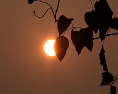 Kolkata Weather Update : জানুয়ারির শেষে কি ফের কনকনে অনুভূতি ফিরবে?