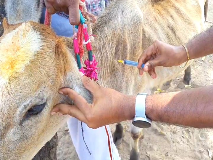 Request to provide free mobile veterinary service vehicle to Mayiladuthurai district மயிலாடுதுறை மாவட்டத்திற்கு இலவச நடமாடும் கால்நடை மருத்துவ சேவை வாகனம் வழங்க கோரிக்கை