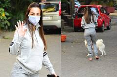 मॉर्निंग वॉक पर निकली Malaika Arora, बीच सड़क पर अपने पपी के साथ खेलती आईं नजर