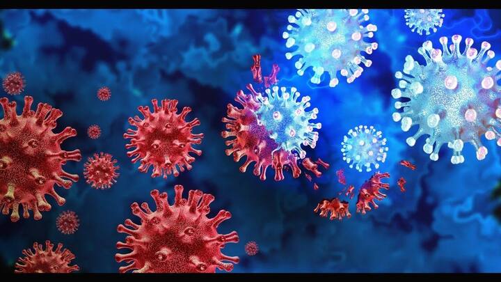 Omicron Coronavirus: શિયાળામાં રોગપ્રતિકારક શક્તિ વધારવા માટે ખાટાં ફળો, આમળા, બાજરી, ગોળ-ઘી અને આદુનો ઉપયોગ કરો. તેનાથી રોગપ્રતિકારક શક્તિ મજબૂત થશે અને તમે કોરોનાના સંક્રમણથી બચી શકશો.