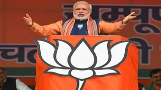 UP Elections 2022: ઉત્તરપ્રદેશમાં મોદી, શાહ,નડ્ડા ભાજપના સ્ટાર પ્રચારકો, જાણો કયા દિગ્ગજ મા-દીકરાને રખાયા  દૂર