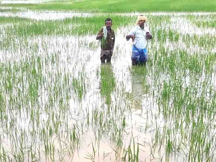 விவசாயிகளுக்கு இழப்பீடு வழங்காததைக் கண்டித்து 22-ந் தேதி அ.தி.மு.க. ஆர்ப்பாட்டம்..! ஓ.பி.எஸ்.- இ.பி.எஸ். அறிவிப்பு