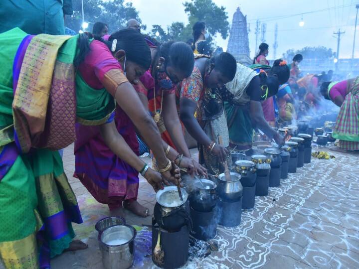 Sivagangai Tuesday Pongal is held after the Pongal festival pongal 2022 | நகரத்தார்கள் நடத்திய செவ்வாய் பொங்கல் விழா - 60 கிடாய்களை ஒரே இரவில் வெட்டி கோலாகலம்