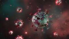 Omicron Symptoms: જો તમારામાં આ પાંચ લક્ષણો છે તો તેને હળવાશથી ન લો, હોઈ શકે છે Omicron, જાણો શું કહે છે નિષ્ણાતો