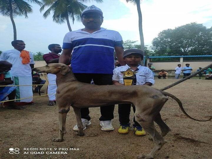 Madurai-based IT engineer involved in efforts to recover endangering dog breeds நாய் பண்ணை அமைத்து நாட்டு நாய் இனங்களை பாதுகாக்கும் ஐ.டி.பொறியாளர்