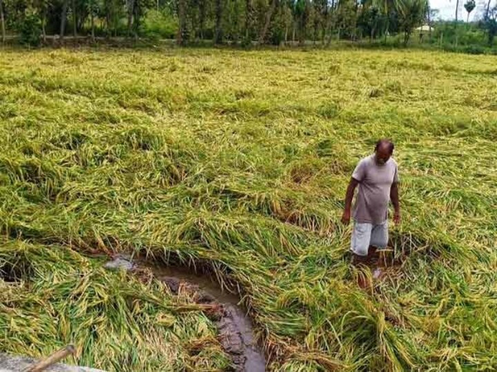 விவசாயிகளுக்கு இழப்பீடு வழங்காததைக் கண்டித்து 22-ந் தேதி அ.தி.மு.க. ஆர்ப்பாட்டம்..! ஓ.பி.எஸ்.- இ.பி.எஸ். அறிவிப்பு