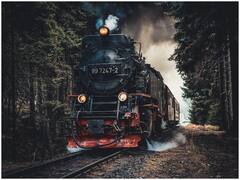 Indian Railway Jobs 2022: भारतीय रेलवे में नौकरी पाने का सुनहरा अवसर, सेंट्रल रेलवे ने अपरेंटिस के 2422 पदों पर मांगे आवेदन, जानें डिटेल