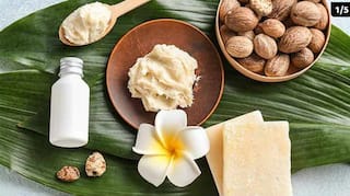 Skin Care Tips : त्वचेला मॉइश्चरायझ करण्यासाठी केमिकलयुक्त फेस क्रीम्स वापरण्याऐवजी वापरा नैसर्गिक मॉइश्चरायझर्स