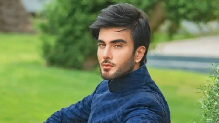 क्रिएचर 3डी में इमरान अब्बास ने बिपाशा बसू के संग काम किया था. ये अपने एक्सप्रेशन के लिए जाने जाते हैं.