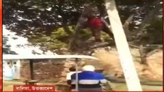 Uttar Pradesh: ভ্যাকসিনের ভয়ে সটান গাছে! নামাতে হিমসিম স্বাস্থ্যকর্মীরা| Bangla News