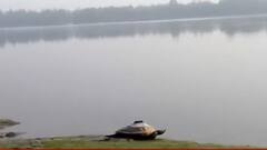 Sundarban : গতিবিধি ও বংশবৃদ্ধির উপর নজর রাখতে এবার কচ্ছপের শরীরে বসানো হল GPS ট্রান্সমিটার| Bangla News