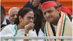 Mamata Banerjee: উত্তরপ্রদেশে অখিলেশ-সমর্থনে মমতা, কটাক্ষ বিজেপির | Bangla News