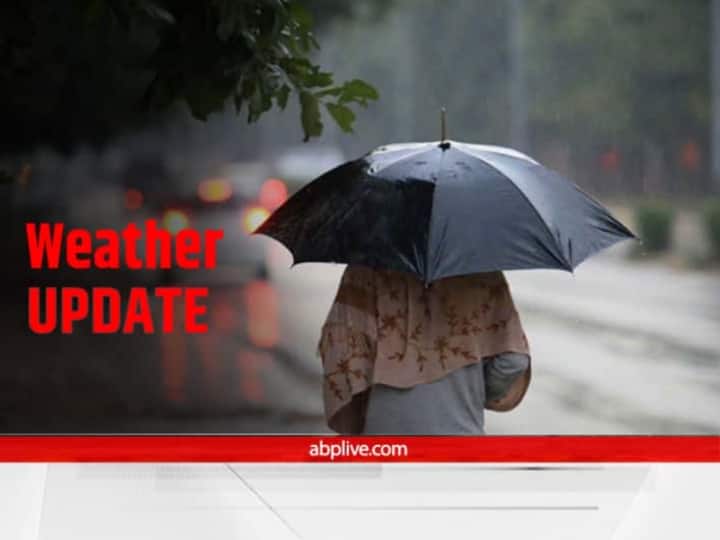Delhi Weather Update Cold Wave Rain in Delhi NCR IMD Alerts IMD Predicts Light Rainfall In Delhi, Parts Of North India From Today; Temperatures To Rise