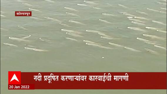 TOP 50 : महत्वाच्या 50 बातम्यांचा वेगवान आढावा : बातम्यांचं अर्धशतक : 20 जानेवारी 2022 : ABP Majha
