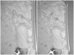 Watch: सो रही बच्ची के ऊपर गिरी मकड़ी, कैमरे में कैद हुई घटना