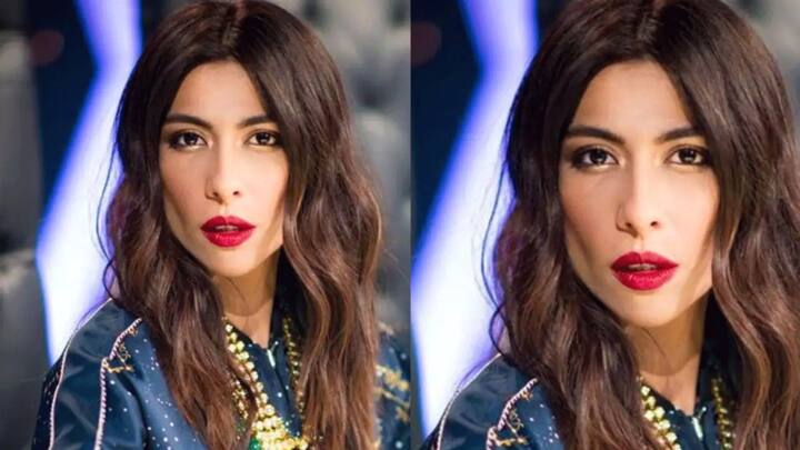 मीशा शाफी पाकिस्तानी सिंगर हैं वो भाग मिल्खा भाग में नजर आई थीं. उसके बाद किसी फिल्म में दिखाई नहीं दीं.