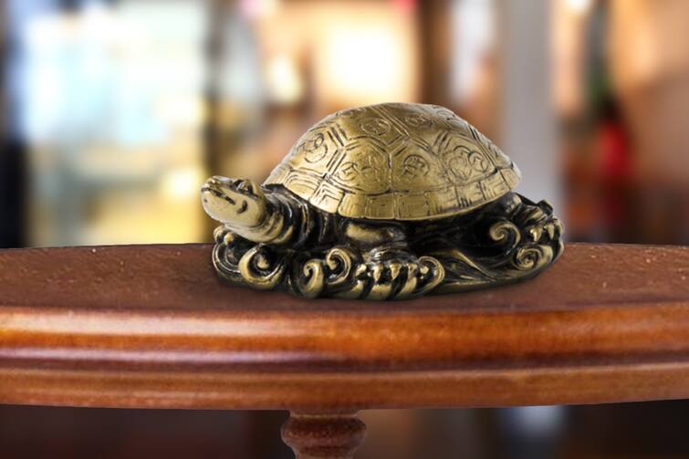 Vastu Shastra benefits of keeping a feng shui turtle in the house જાણો ફેંગશૂર્ઇ, કાચબાને ઘરમાં કે ઓફિસમાં આ દિશામાં રાખવાથી બને છે  ધન પ્રાપ્તિના યોગ
