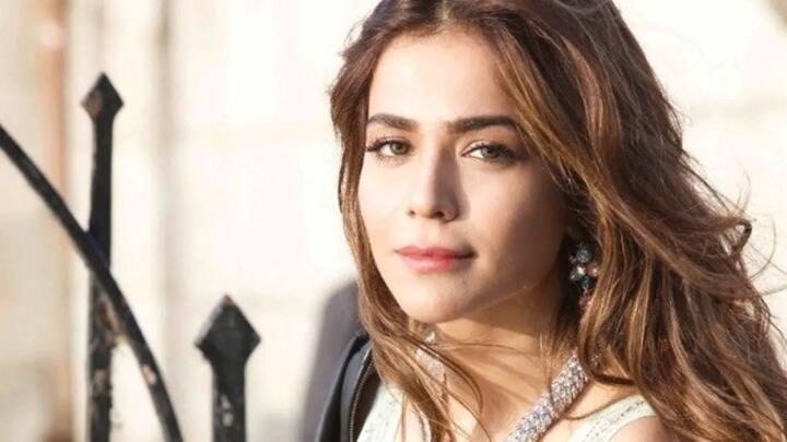 हुमैमा मलिक की गिनती बोल्ड एक्ट्रेस में होती है. उन्होंने राजा नटवरलाल में इमरान हाशमी के संग काम किया था.