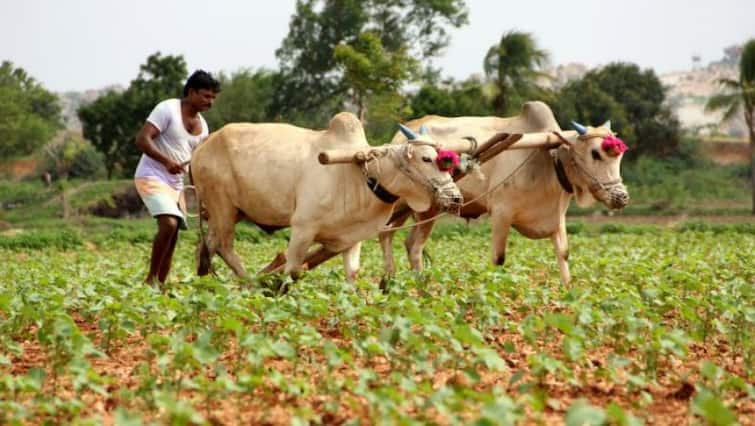 Budget 2022: Know about 10 big and important decisions for farmers in budget check details Union Budget 2022: બજેટમાં ધરતીપુત્રોને શું મળ્યું ?  જાણો 10 મોટી વાતો