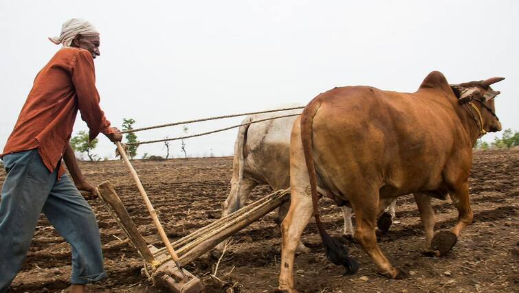 Modi government to start new scheme for farmers fasal bima yojana Farmers Schemes: મોદી સરકારે કરોડો ખેડૂતને આપી ખુશખબર, શરૂ કરશે આ નવી યોજના, જાણો કોને મળશે લાભ ?