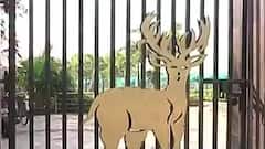 Newtown: নিউটাউনের হরিণালয়কে ঢেলে সাজানোর উদ্যোগ রাজ্য সরকারের । Bangla News