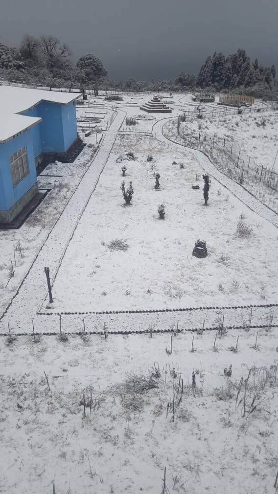 সাদা তুলোর চাদর দার্জিলিংয়ে