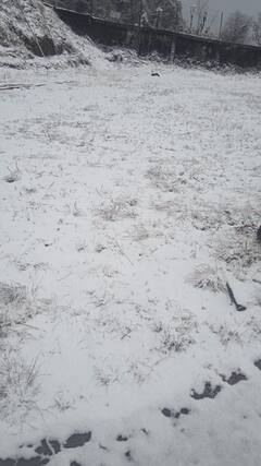 Darjeeling Snowfall: মেঘলা-মুখ ভার কাটিয়ে দমকা বৃষ্টি, সঙ্গে তুষারপাত দার্জিলিংয়ে, দেখুন নৈসর্গিক ছবি