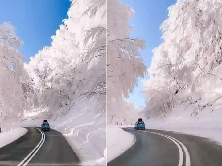 view of trees covered with snowy sheets on both sides of the road will fascinate you, know where is this wonderful sight Watch: पहले नहीं देखा होगा ऐसा नजारा, बर्फ से ऐसे ढके हैं पेड़ मानो स्वर्ग यहीं है!