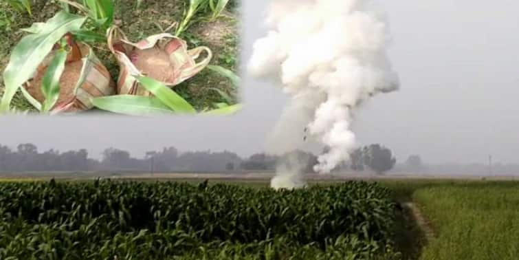 Malda News in Chanchal two bags filled with bombs recovered from agricultural land Chanchal News: ভুট্টার জমিতে ব্যাগভর্তি বোমা, হুলস্থুল কাণ্ড চাঁচলে