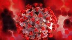 Coronavirus : করোনায় রাজ্যে ফের একদিনে মৃত্যু ৩০ পার। Bangla News