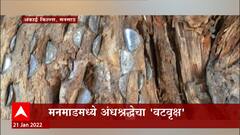 Manmad : पुरातन वृक्षावर पैसे लावण्याचा प्रकार,अंधश्रध्देपोटी पुरातन वृक्षाचा –हास : ABP Majha