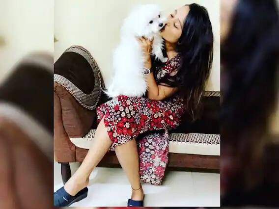 মেহা পশুদেরও বেশি ভালোবাসেন। ইনস্টাগ্রামে তাঁর নিজের পোষ্য কুকুরের সঙ্গে তাঁর অনেক ছবি রয়েছে।