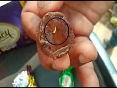 Nellore News: చాకెట్లలో పురుగులు... వినియోగదారుడి ఫిర్యాదుతో ఊరిలో షాపులన్నీ క్లోజ్...