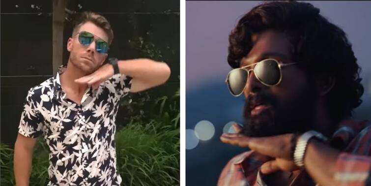 Allu Arjun reacts as David Warner dances to Pushpa Movie Srivalli song David Warner Pushpa Dance: 'পুষ্পা'র গানে পা মেলালেন ক্রিকেট তারকা ডেভিড ওয়ার্নার, কী প্রতিক্রিয়া অল্লু অর্জুনের?