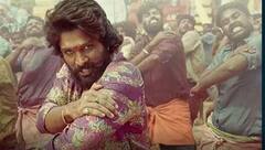 Allu Arjun in another Pan India Flick: పుష్ప-2 తర్వాత ఐకాన్ స్టార్ సినిమా ఏంటి?