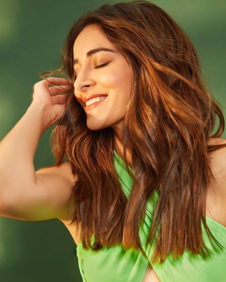 అనన్యా పాండే (image credit : Ananya Panday/Instagram)