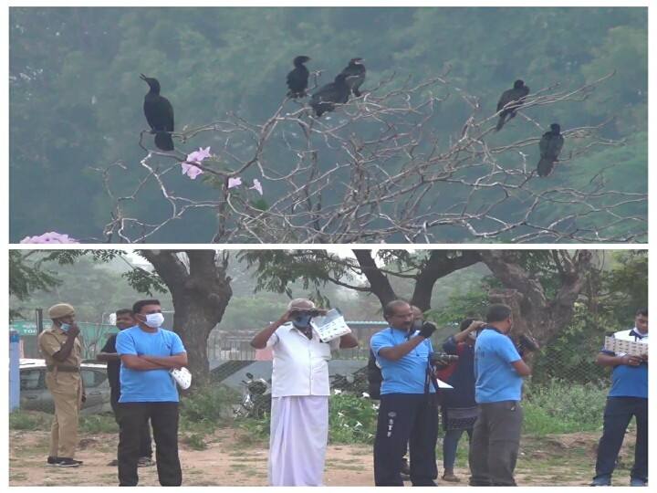 Initiation of bird census in Nellai, It is to be held for 2 days while the Thamiraparani River is flowing நெல்லையில் பறவைகள் கணக்கெடுக்கும் பணிகள் தொடக்கம் - தாமிரபரணி படுகையில் 2 நாட்கள் நடைபெறுகிறது