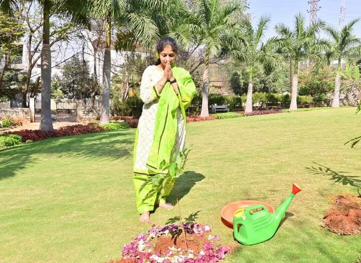 ఈ కార్యక్రమంలో భాగంగా జూబ్లీహిల్స్ జీహెచ్ఎంసీ పార్క్‌లో ప్రముఖ సింగర్ శ్రీ లలిత మొక్కలు నాటారు. ఎంపీ సంతోష్ కుమార్ చేపట్టిన కార్యక్రమంలో పాల్గొని మొక్కలు నాటడం సంతోషంగా ఉందన్నారు.