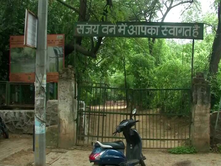 Delhi News DDA started work to develop adventure activities for Sanjay Van know what will be the facilities Delhi News: डीडीए ने संजय वन को एडवेंचर एक्टिविटीज को विकसित करने के लिए काम शुरू किया, जानिए क्या क्या होंगी सुविधाएं