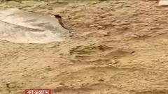 Lalgarh pugmark: বাঘ নয়, লালগড়ে নেকড়ের পায়ের ছাপ, জানাল বন দফতর| Bangla News