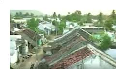 Srikakulam Village: రైల్వేస్టేషన్ ఆవరణలోని భారీ మర్రిచెట్టును కాపాడుకుంటున్న గ్రామస్థులు