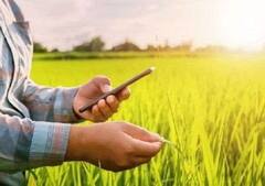 Jobs 2022: ખેતીવાડી ફિલ્ડમાં સરકારી નોકરીનો મોકો, જાણો અરજી કરવાની અંતિમ તારીખ સહિતની સંપૂર્ણ વિગત