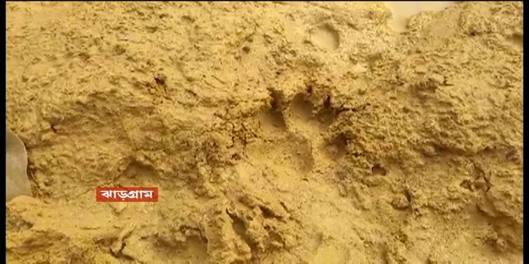 Jhargram Not a tiger, but a wolf's footprint in Lalgarh, said the forest department; Warning to the locals Jhargram News: বাঘ নয়, লালগড়ে নেকড়ের পায়ের ছাপ, জানাল বনদফতর; এলাকাবাসীদের সতর্কবার্তা