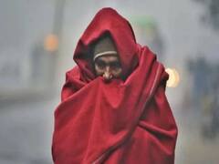 Rain in Rajasthan: पश्चिमी विक्षोभ के चलते राजस्थान के कई हिस्सों में हुई बारिश, सर्द हवाओं ने बढ़ाई परेशानी