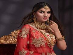 Sapna Choudhary Net Worth: आलीशान बंगला, लग्जरी गाड़ियां, करोड़ों की संपत्ति...कुछ ऐसा है सपना चौधरी का लाइफस्टाइल