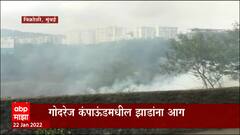 Mumbai Fire : गोदरेज कंपाऊडमधील झाडांना आग, मुंबई पुर्व द्रुतगती महामार्गाशेजारी आग : ABP Majha