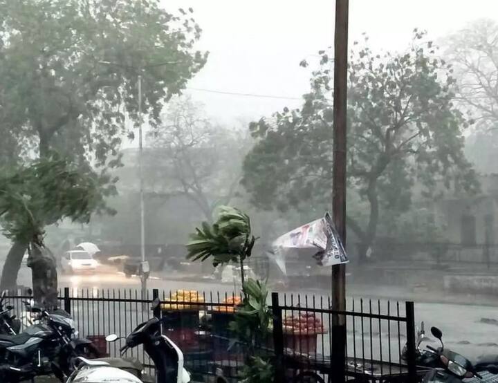 Farmers worried about unseasonal rains in this district of Gujarat ગુજરાતના આ જિલ્લામાં શિયાળામાં ચોમાસા જેવો માહોલ, કમોસમી વરસાદ વરસતા ખેડૂતો ચિંતિત
