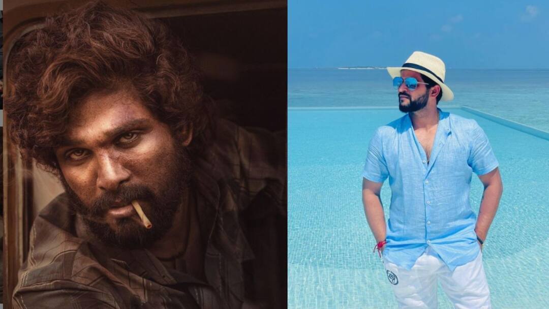 After Warner, Suresh Raina now dances to Allu Arjun's 'Srivalli Raina on Pushpa Dance: ডেভিড ওয়ার্নারের পর সুরেশ রায়নার ভাইরাল ডান্স 'পুষ্পা'র গানের তালে